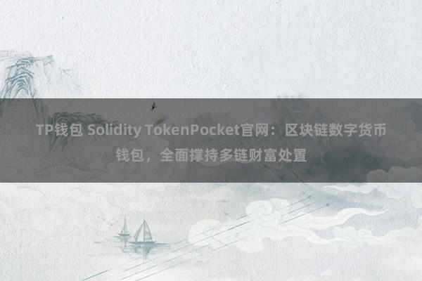 TP钱包 Solidity TokenPocket官网：区块链数字货币钱包，全面撑持多链财富处置